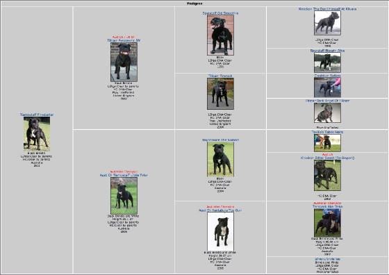 jd_pedigree.jpg