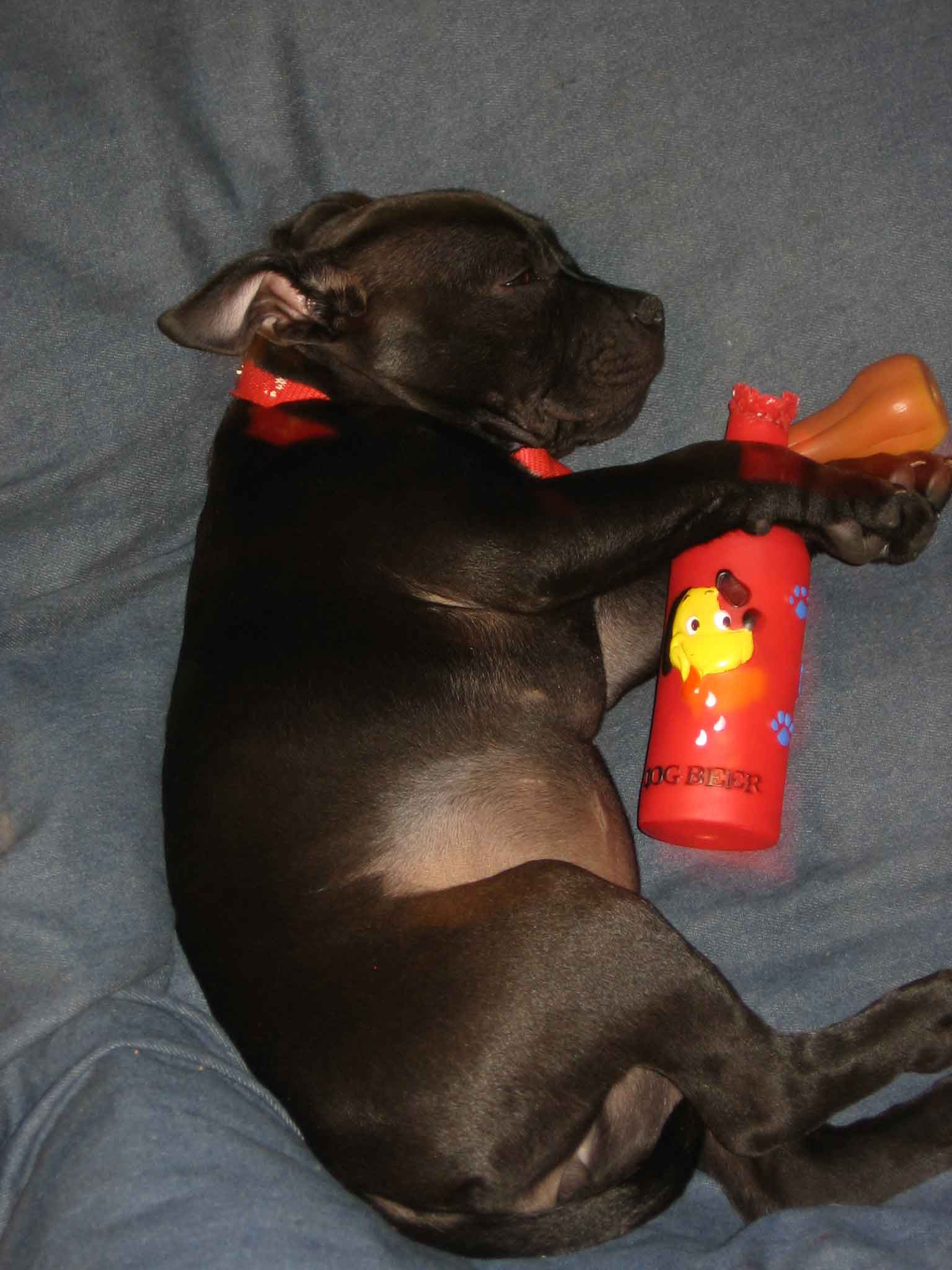 drinking.jpg